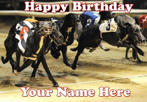 Greyhound racing birthday card - racing,