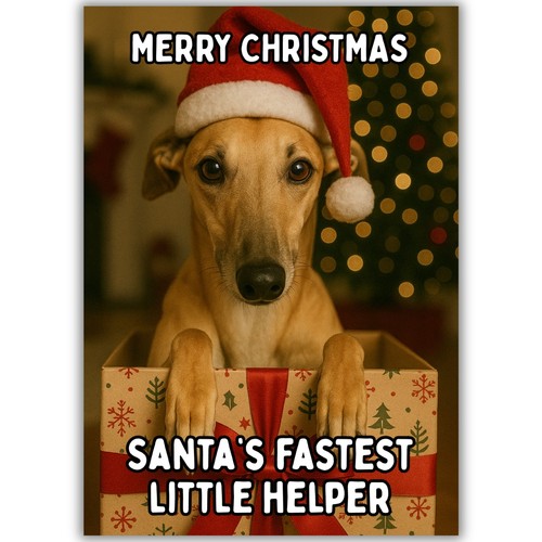 Cute greyhound dog christmas - cute,