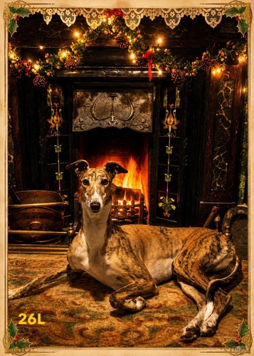 Fireside greyhound christmas - fireside,
