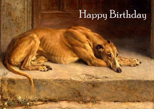 Greyhound dog birthday card - dog,