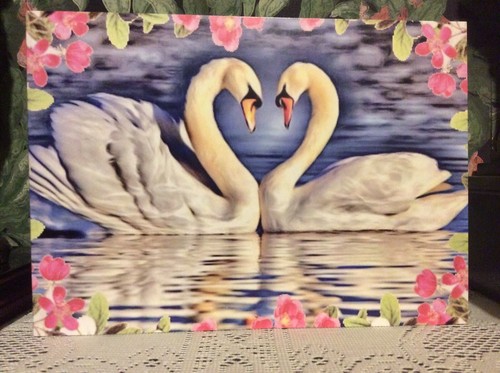 Swans greetings card sold in - greetings, ,