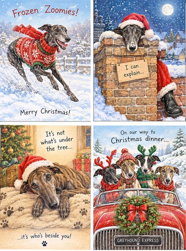 Pack humorous greyhound - pack,