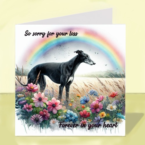 Greyhound dog bereavement - dog,