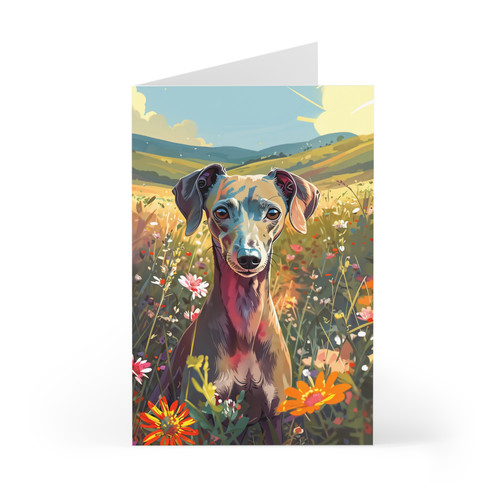 Italian greyhound whippet - italian, or