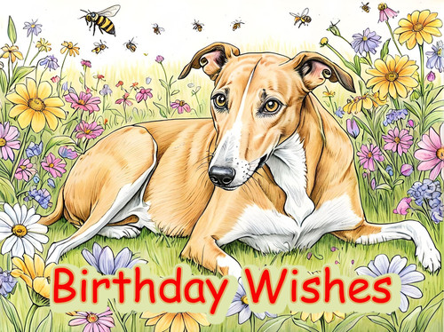 Greyhound whippet birthday - greyhound,