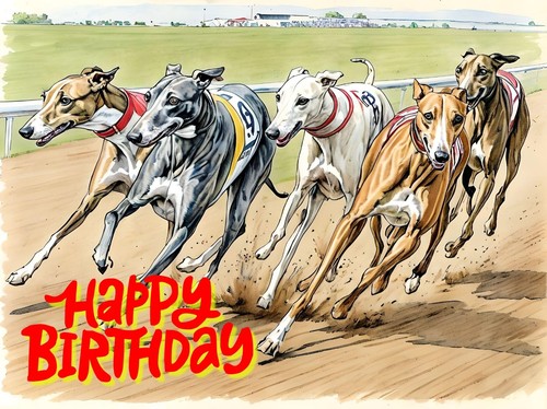 Greeting card racing - card, a5