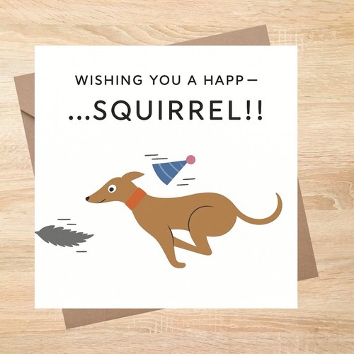 Greyhound whippet squirrel dog - greyhound,