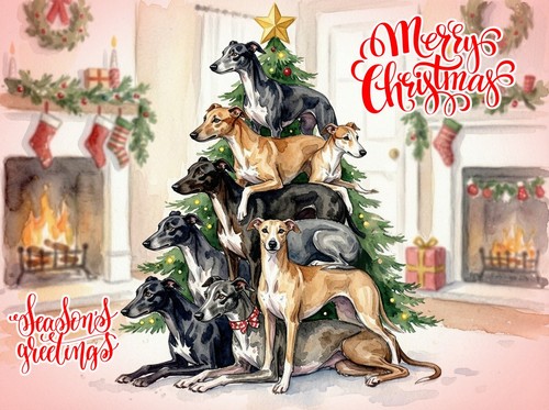 Greyhound whippet christmas - greyhound,