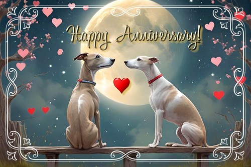 Happy anniversary greyhound - anniversary,