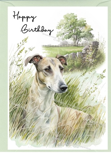 Greyhound dog - greyhound, (4"x