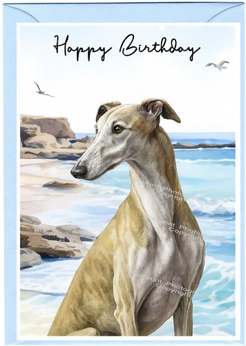 Greyhound dog - dog, (4"x