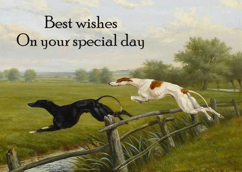 Greyhound dog birthday - greyhound,