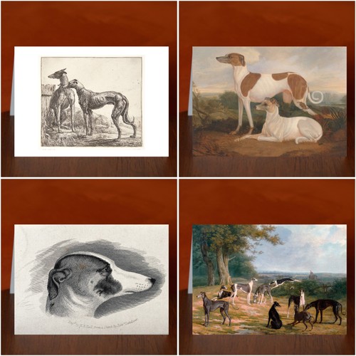 Greyhound art print greeting - greyhound,