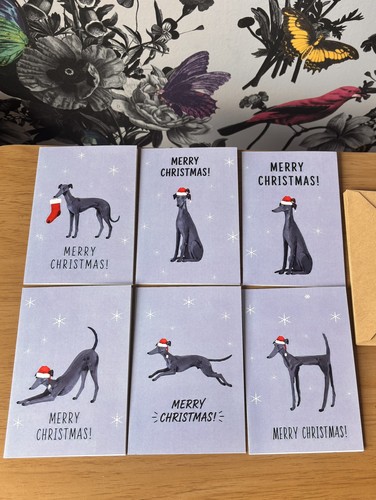 Pack greyhound whippet - of,