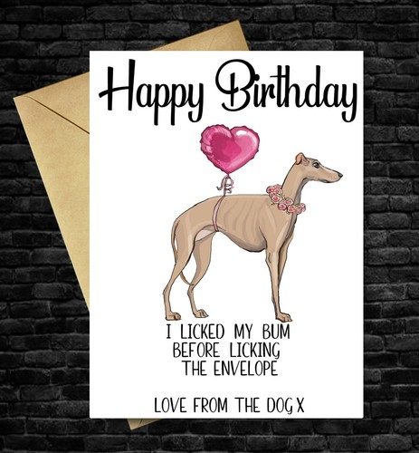 Funny birthday card - funny,