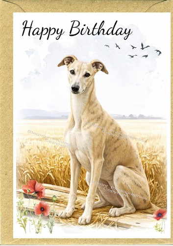 Greyhound dog - greyhound, (4"x