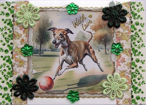 Greyhound puppy dog hand - dog,
