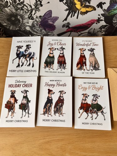 Pack greyhound whippet - 6,