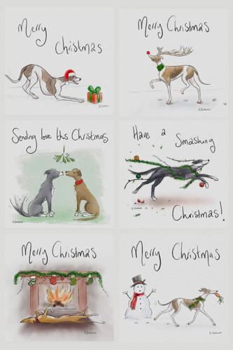 Pack christmas greyhound - of,