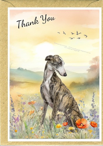 Greyhound dog thank you card - greyhound,