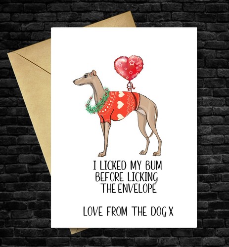 Funny christmas card dog - card,