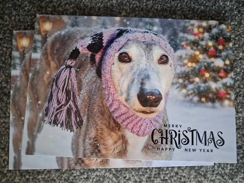 Packet greyhound charity - packet,