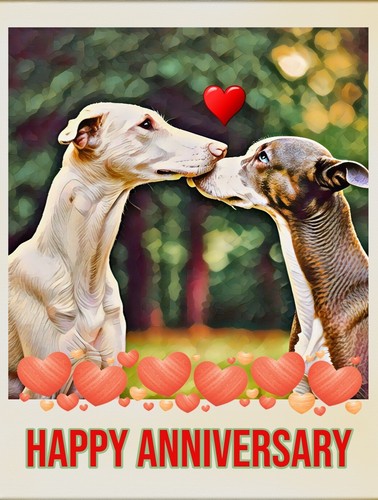 Happy anniversary greyhound - anniversary,